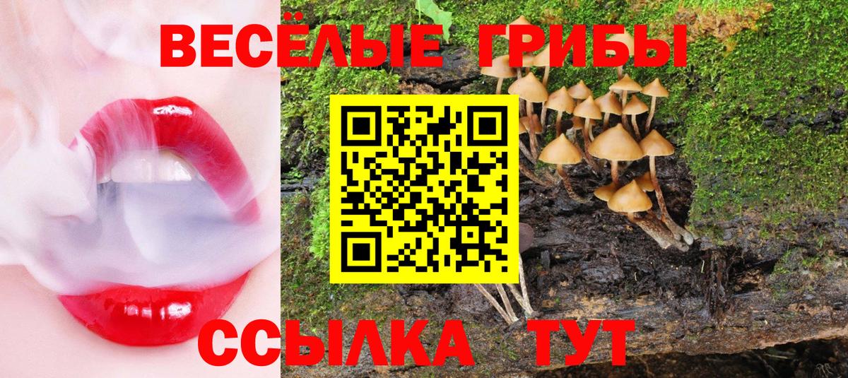 Псилоцибиновые грибы Psilocybine cubensis  Псилоцибиновые грибы Psilocybe  Ишим  Вход с VPN 