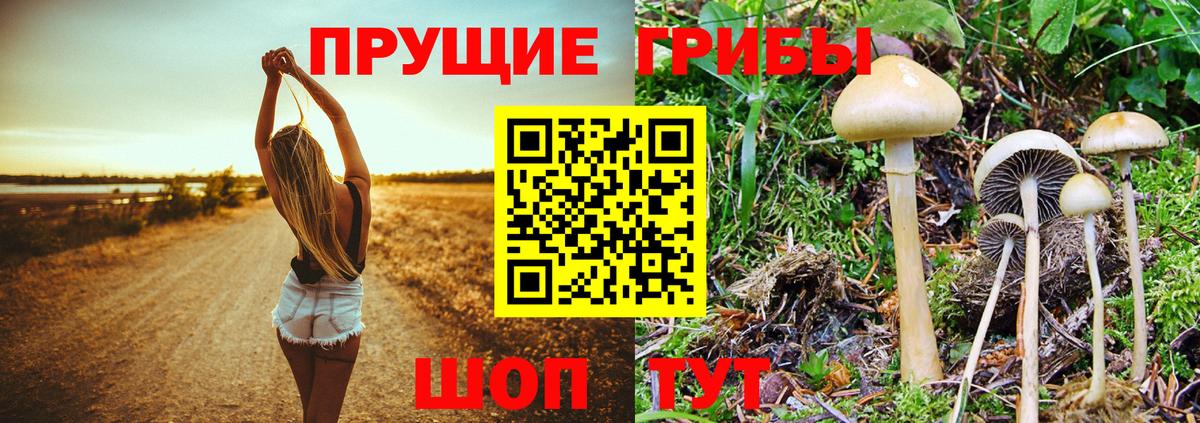 Галлюциногенные грибы ЛСД Ишим